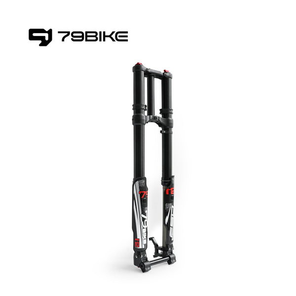 79Bike Comp Front Fork
